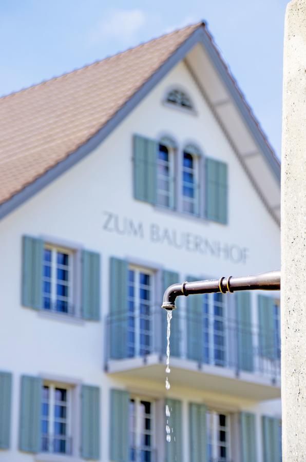 Gasthaus Zum Bauernhof Oberlunkhofen 외부 사진